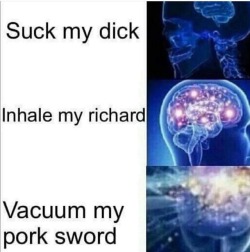 soldmysoultobepretty:  Fuckin pork sword 😷  😂😂