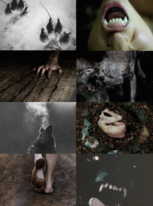 mypieceofculture:Halloween Aesthetics // Werewolf Aesthetic