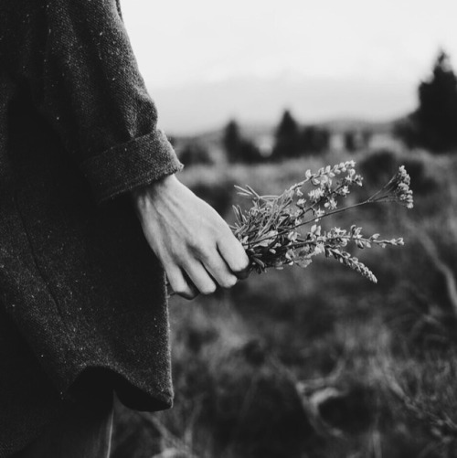 pemberlaey:Moodboard: T.S Eliot’s The Wasteland“You gave me hyacinths first a year 