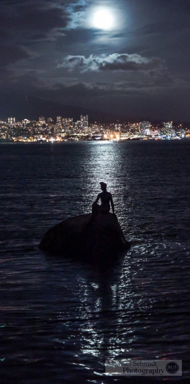 ohmyvancouver:  2013-09-23 Vancouver Stanley Park Girl in a Wetsuit-4 (by Michael Schmidt Vancouver)