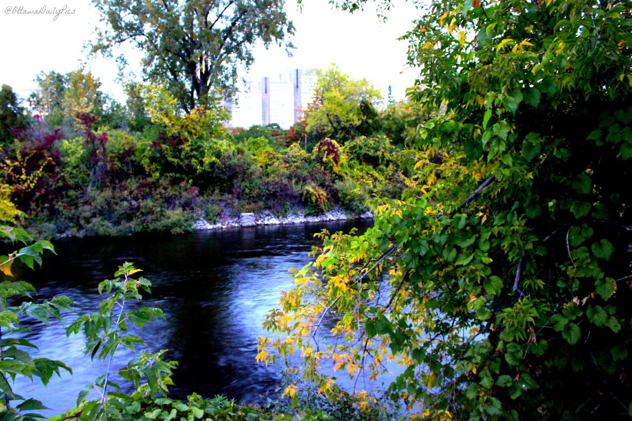 The Ottawa River