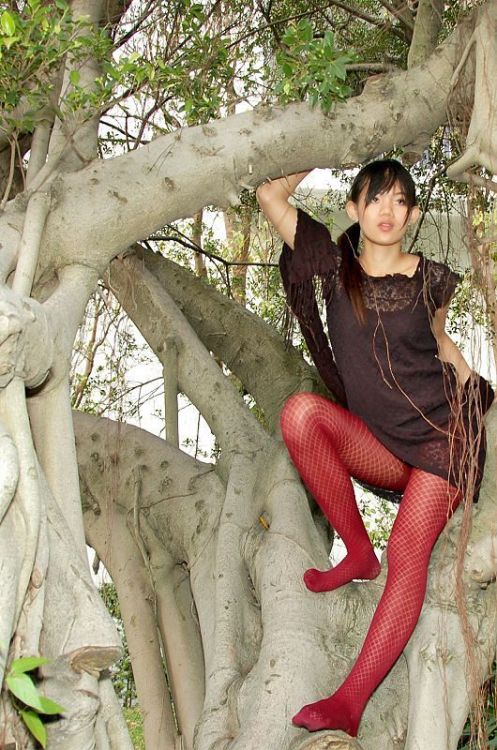 collant-asian-pantyhose: visit my  blog asian-hose-stocking-bas.tumblr.com/ et www.t