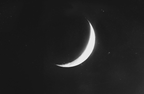 xe-ap:  http://xe-ap.tumblr.com/
