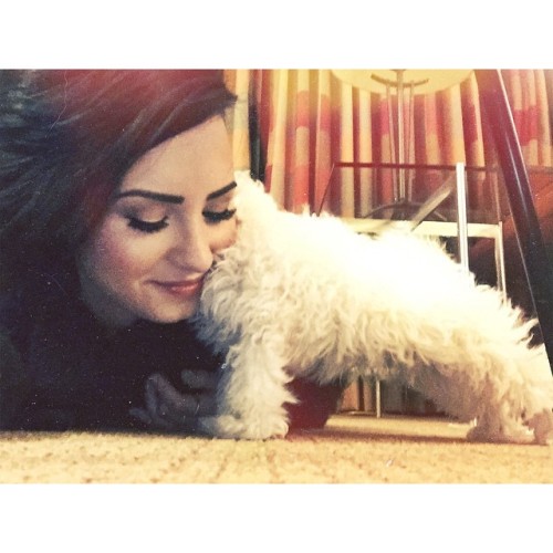 dlovato-news:  ddlovato: I really am so in love with this little guy… My little baby 