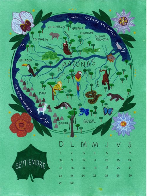 2019 calendar: Illustrated maps