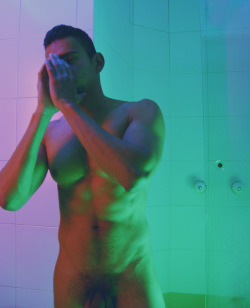 diogenesringo: More hot neon nights