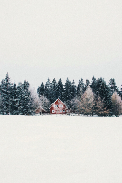 blazepress:  Photo by jannikobenhoff. 