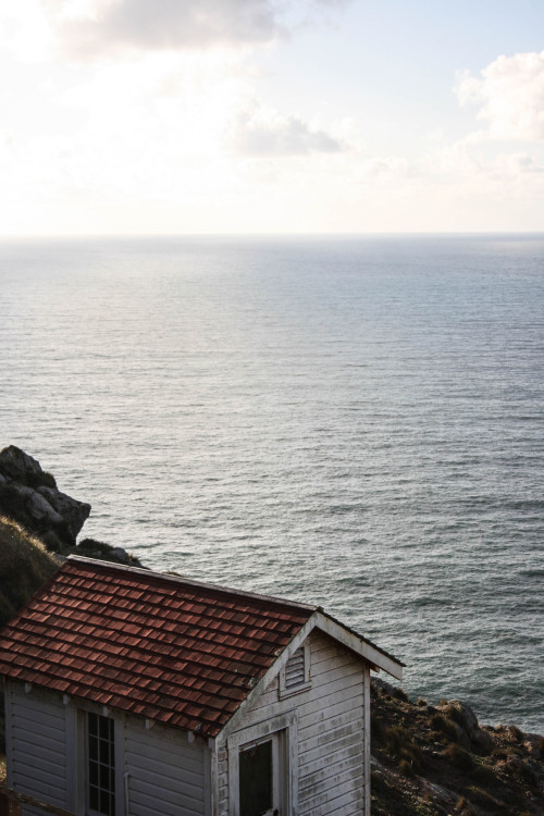 codiannthomsen:  Point Reyes, California