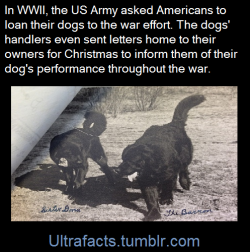 ultrafacts:(Fact Source) For more facts, follow Ultrafacts