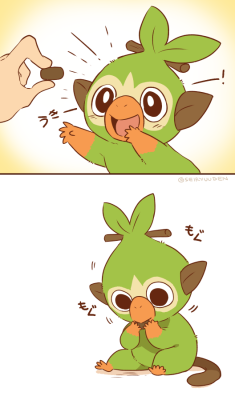 ponpekopon: GROOKEY IS SO CUUUUUUTE……………..