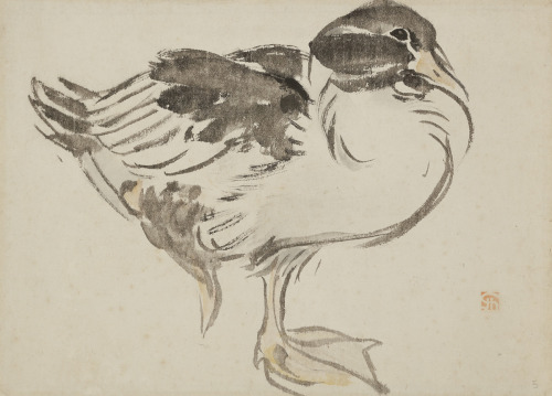 thatsbutterbaby:Jules Chadel (1870-1941) -  Canard, vers 1900.   Lavis d’encre de Chine et aquarelle