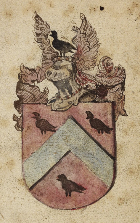 I very much enjoy this coat of arms because it looks like an Animorphs time-lapse of the raven at th