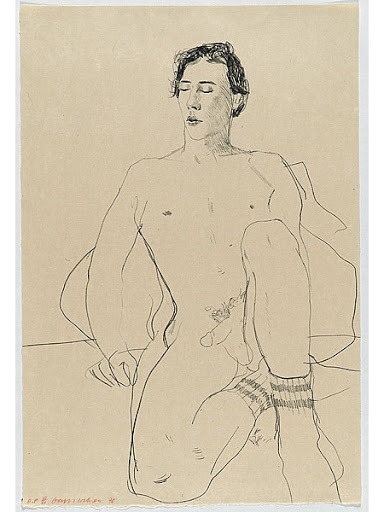 Sex 1976 ‘Gregory’  David Hockney pictures