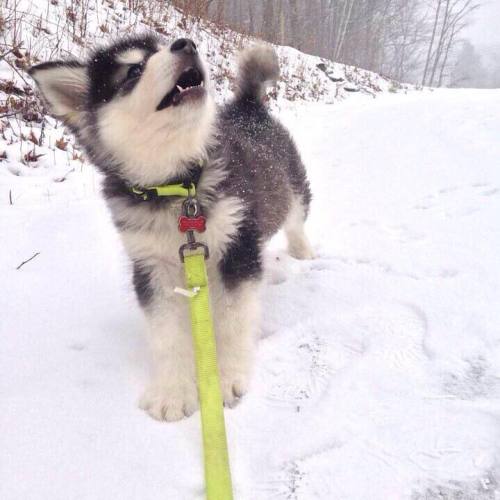 The Most Beautiful Thing You'll See Today.