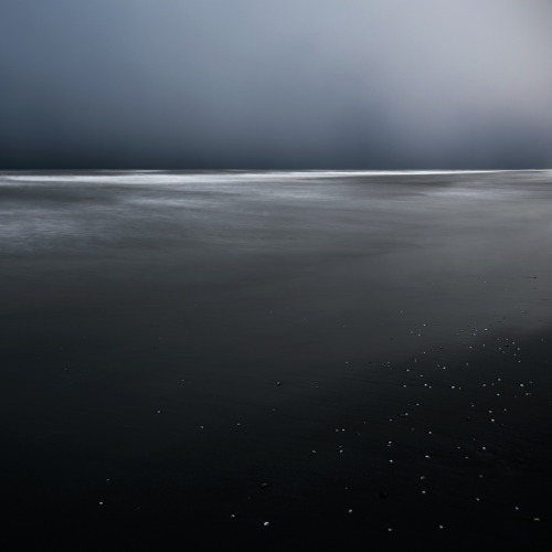 nevver:Lost horizon, Mehran Naghshbandi