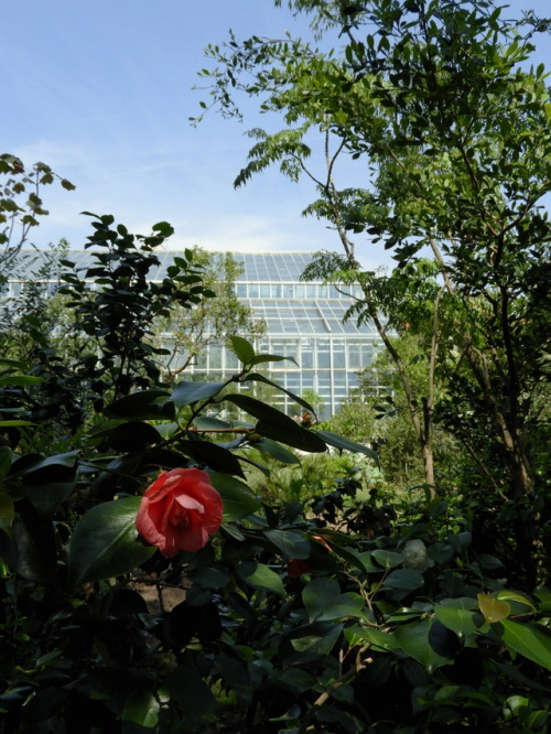 Botanical Garden View.