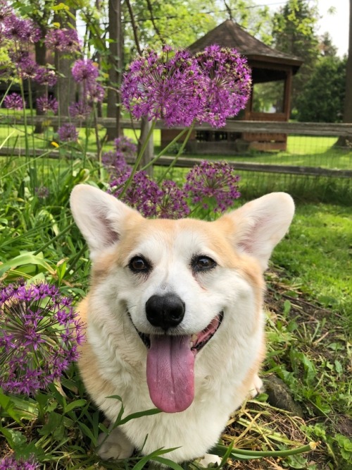 Enjoying This Fine June Day!