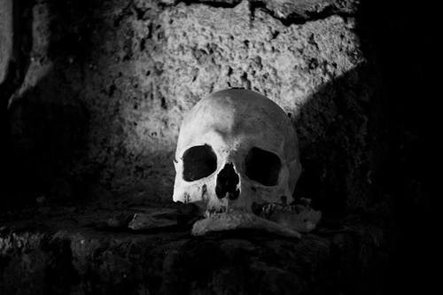 kid-named-joe:  Skull | via Facebook on We Heart It - http://weheartit.com/entry/81032221