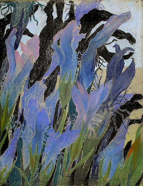 Stanisław Wyspiański (1869-1907) “Flower” 1904, pastel on paper.