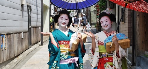 This usumono coordinate owned by Tsurui okiya (Gion Kobu) is for senior maiko, and has bee