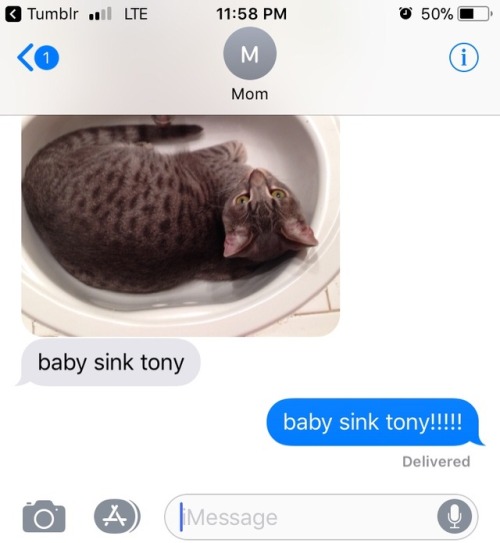 lim-dul: baby fucking sink tony!!!!!