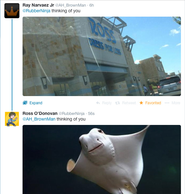 zoo-typhoon:  i can’t handle these two 