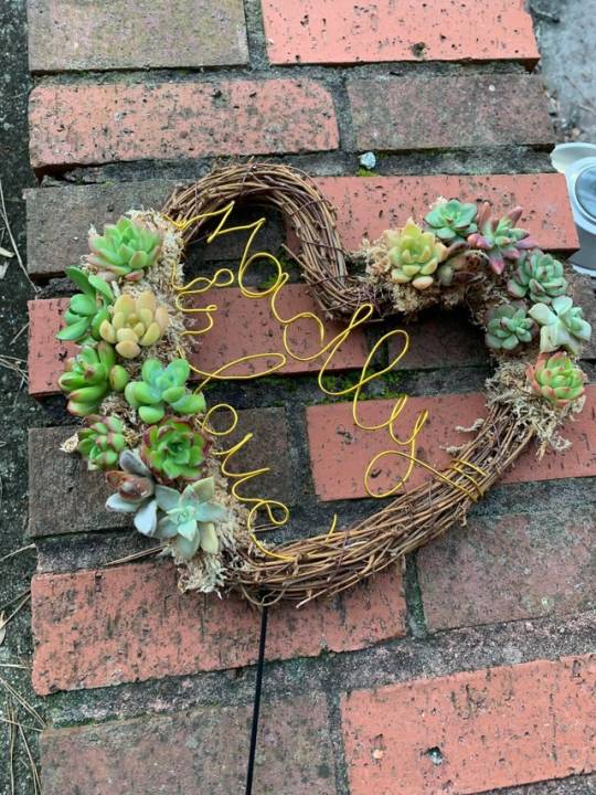 I made a living cake topper for my wedding and I’m excited about it! by  X0X000 #plants#succulents#gardening#house plants#garden#cactus