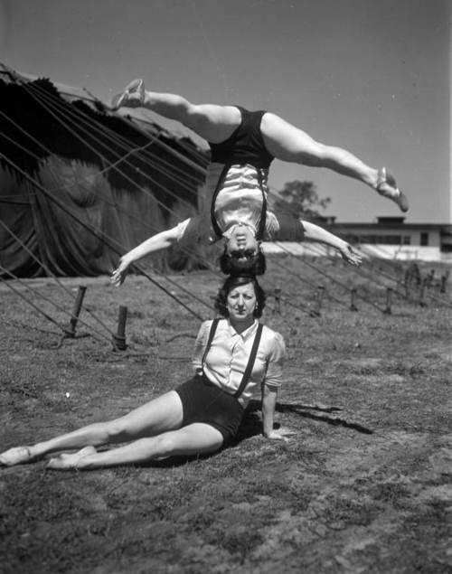 firsttimeuser: Acrobats rehearsing at the Ringling Circus, 1940s photo by Joseph Janney Steinme