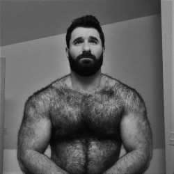 Bears, beards and every hairy sexy men