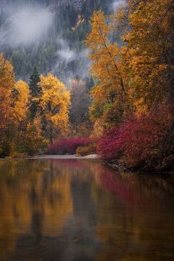 optically-aroused:Autumn Reflections by David Forster  