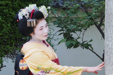 geisha-kai:  Maiko Koume in May 2014 (SOURCE)