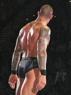 rkoiseverything:  orton thighs for my precious followers