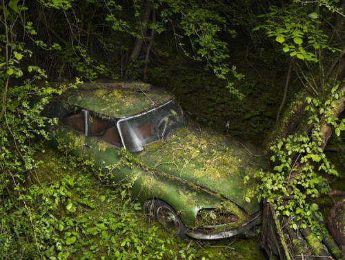 I LOVE IT WHEN NATURE TAKES IT BACK