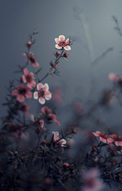 sou-inseguro:  .