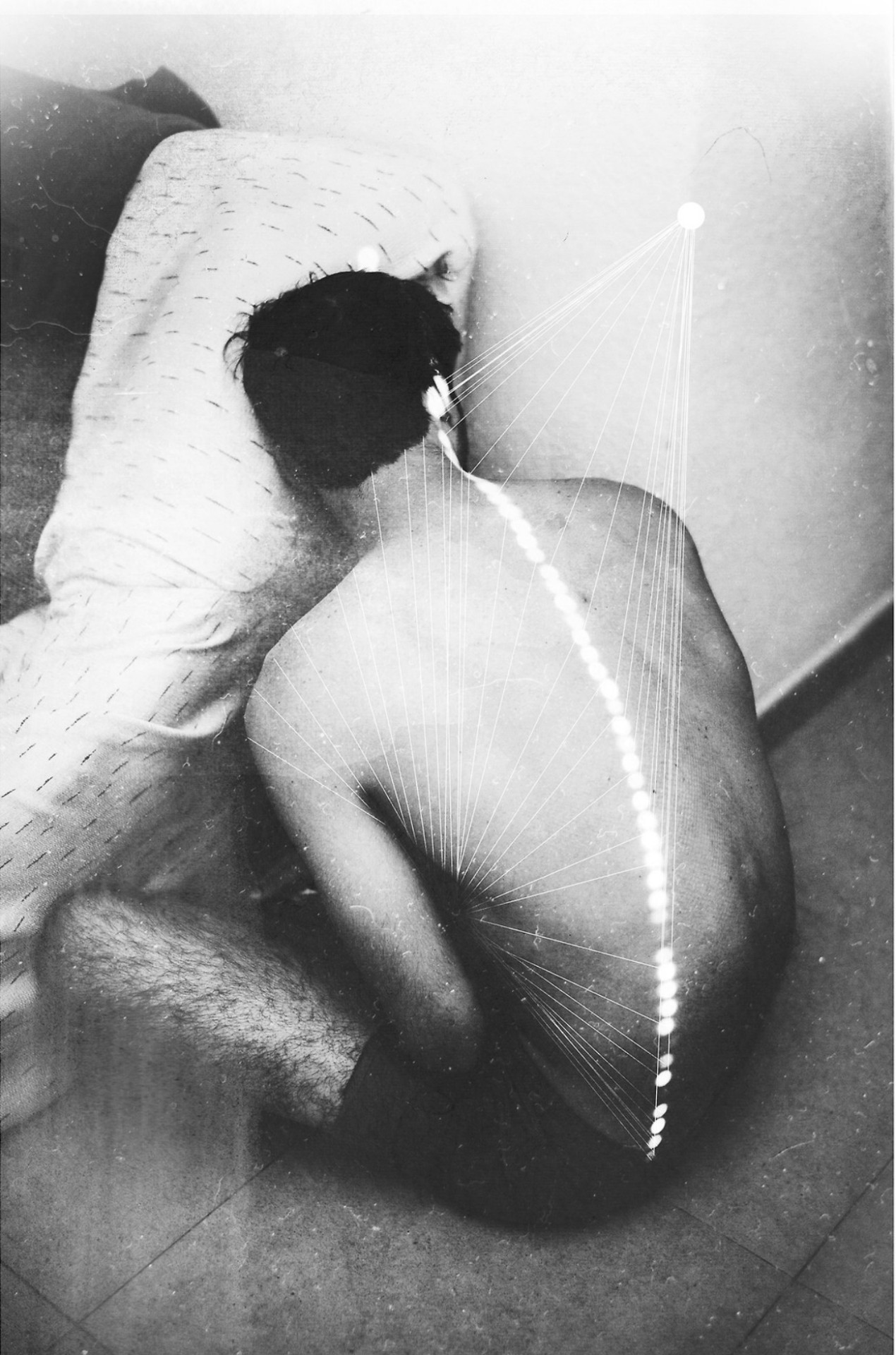 hoscos:  Silvia Grav 