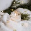 winter-christmaswonders