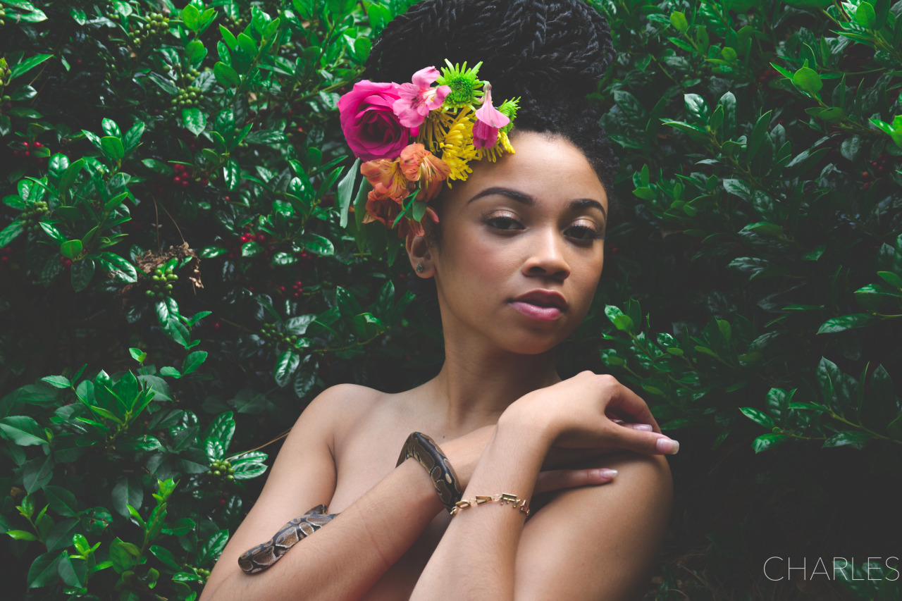 lasergunsandcongodrums:  Garden of Eden Photography by Spencer Charles 