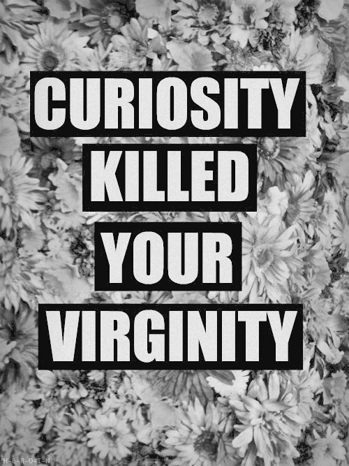 notawordspoken:  Bait &amp; Switch #82 Curiosity Kills A Man’s Ass Virginity…
