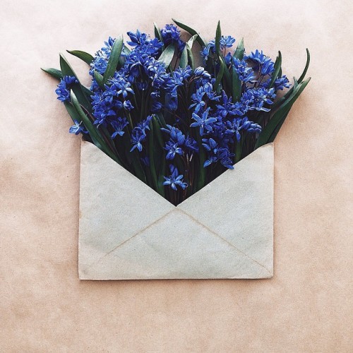 ladyinterior: Vibrant Flowers Delicately Complement Naturally-Toned Vintage Paper Envelopes, An