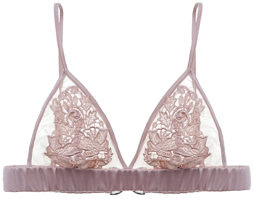 transparent-lingerie:  Fleur Of England: Blush Guipure Boudoir Bra