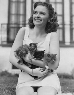 yourcatwasdelicious:  donna reed