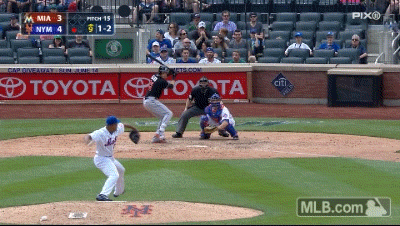 Top GIFs of 2015
