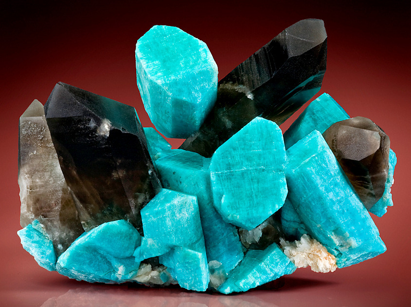fuckyeahmineralogy:  Amazonite with Smoky Quartz and Albite; Sentinel Rock, El Paso