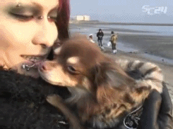 impossible-girl-maestro-deactiv:  Hitsugi cuddling with &amp; running away from