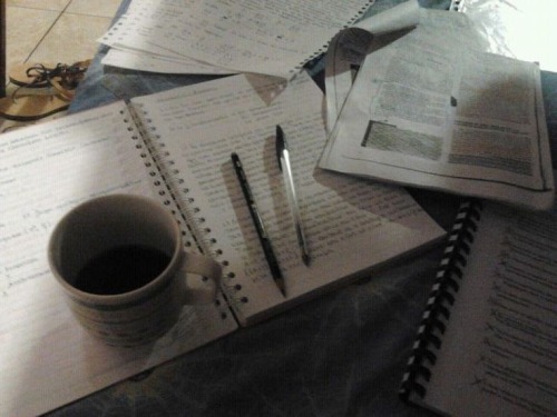 The Hungry, Hard Working Student