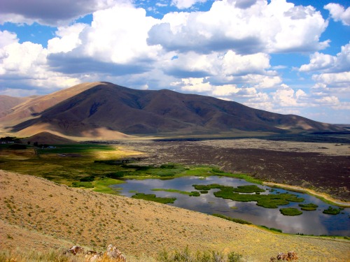 usda-nrcs:NewReport Highlights Ranchers Restoring Habitat for Sage GrouseAldo Leopold once said, “Co