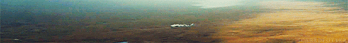 scaredpotter:  hp + hogwarts express » asked by maybemalfoy 