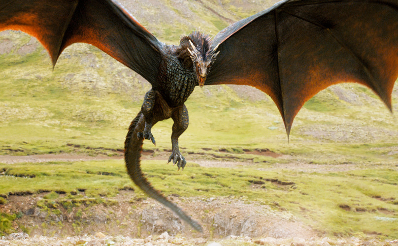Did you know Wyvern’s are described as “Two legged dragons with barbed tales”