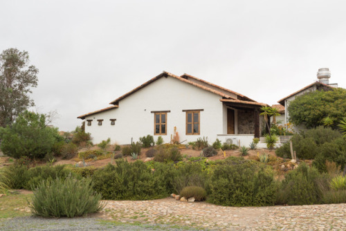 Restaurante Laja and Roadside Carnitas Location: Baja, MexicoI didn’t realize it at the time, but my