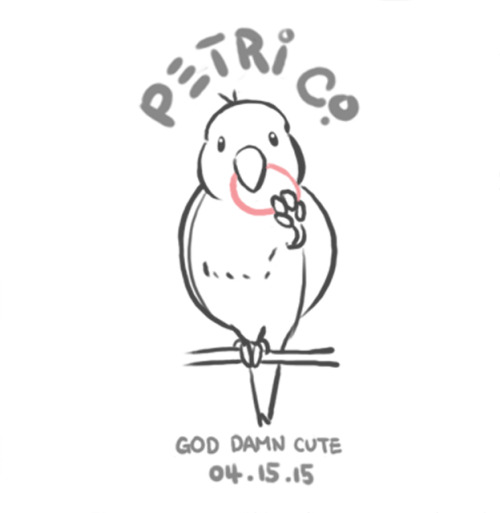 An illustration of our bird I did for my wife’s Birthday